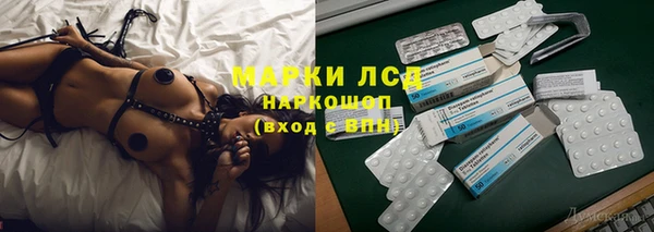 индика Гусиноозёрск