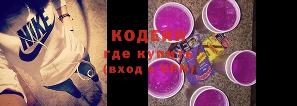 индика Гусиноозёрск