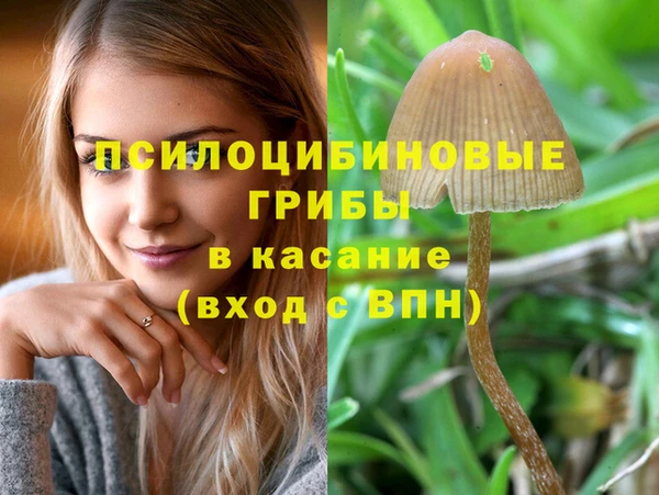 бутик Гусь-Хрустальный