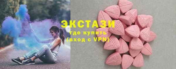 индика Гусиноозёрск