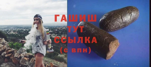 индика Гусиноозёрск
