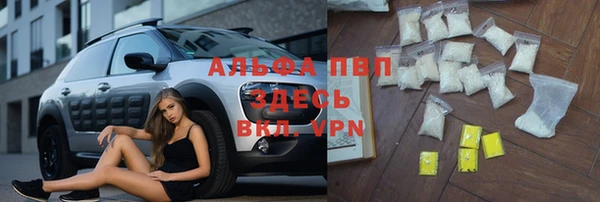 индика Гусиноозёрск