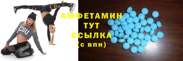 индика Гусиноозёрск