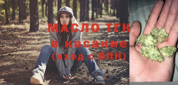 индика Гусиноозёрск