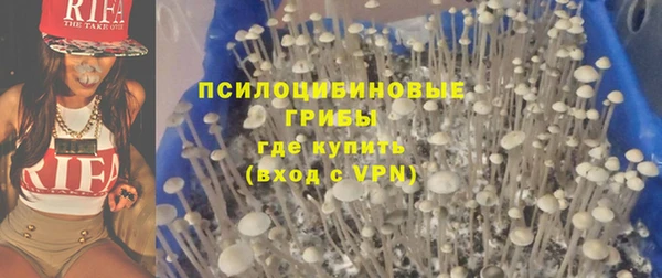 прущая мука Гусев