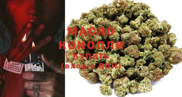 индика Гусиноозёрск