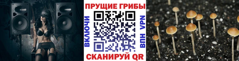 кракен рабочий сайт  Зарайск  Галлюциногенные грибы GOLDEN TEACHER  хочу  